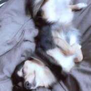 ヒメ日記 2025/11/10 07:15 投稿 なごみ AVANCE福岡