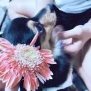 ヒメ日記 2025/12/02 06:30 投稿 なごみ AVANCE福岡