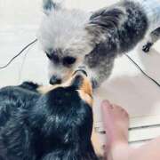 ヒメ日記 2025/12/07 19:02 投稿 なごみ AVANCE福岡