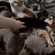 ヒメ日記 2025/12/08 00:30 投稿 なごみ AVANCE福岡