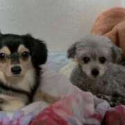 なごみ ❁⃘❁⃘マーク、、。 AVANCE福岡