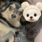 なごみ ❁⃘❁⃘から、、。 AVANCE福岡