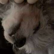 なごみ ❁⃘❁⃘ざいます、、。 AVANCE福岡