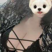 ヒメ日記 2025/12/16 22:31 投稿 なごみ AVANCE福岡