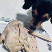 ヒメ日記 2025/12/25 02:30 投稿 なごみ AVANCE福岡