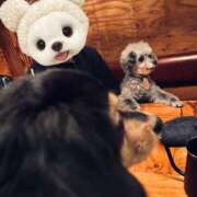 ヒメ日記 2025/12/27 05:00 投稿 なごみ AVANCE福岡