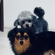 ヒメ日記 2025/12/28 21:02 投稿 なごみ AVANCE福岡