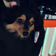 ヒメ日記 2026/01/01 04:45 投稿 なごみ AVANCE福岡