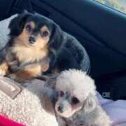 ヒメ日記 2026/01/01 19:15 投稿 なごみ AVANCE福岡