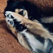 ヒメ日記 2026/01/03 21:15 投稿 なごみ AVANCE福岡