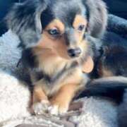 ヒメ日記 2026/01/04 03:30 投稿 なごみ AVANCE福岡