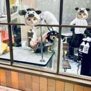 ヒメ日記 2026/01/07 16:45 投稿 なごみ AVANCE福岡