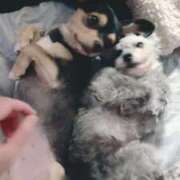 ヒメ日記 2026/01/10 08:02 投稿 なごみ AVANCE福岡