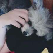 ヒメ日記 2026/01/11 19:30 投稿 なごみ AVANCE福岡