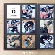 ヒメ日記 2026/01/12 21:45 投稿 なごみ AVANCE福岡