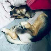 ヒメ日記 2026/01/13 06:46 投稿 なごみ AVANCE福岡