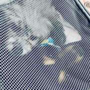 ヒメ日記 2026/01/18 11:31 投稿 なごみ AVANCE福岡