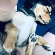 ヒメ日記 2026/01/19 02:30 投稿 なごみ AVANCE福岡