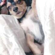 なごみ とても、❁⃘❁⃘、、。 AVANCE福岡