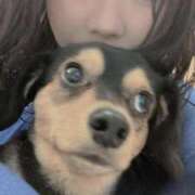 なごみ あ、❁⃘❁⃘、、。 AVANCE福岡