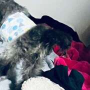 ヒメ日記 2026/01/22 18:31 投稿 なごみ AVANCE福岡