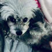 ヒメ日記 2026/01/24 15:02 投稿 なごみ AVANCE福岡