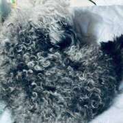 ヒメ日記 2026/01/25 15:15 投稿 なごみ AVANCE福岡