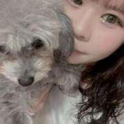 ヒメ日記 2026/01/26 17:02 投稿 なごみ AVANCE福岡