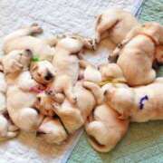 ヒメ日記 2026/01/26 17:31 投稿 なごみ AVANCE福岡