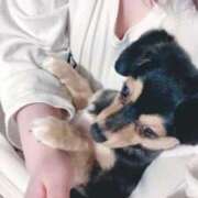 ヒメ日記 2026/01/26 17:45 投稿 なごみ AVANCE福岡