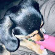 ヒメ日記 2026/01/27 03:15 投稿 なごみ AVANCE福岡