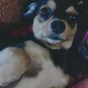 ヒメ日記 2026/01/28 11:01 投稿 なごみ AVANCE福岡