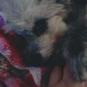 ヒメ日記 2026/01/28 18:31 投稿 なごみ AVANCE福岡