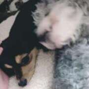 ヒメ日記 2026/01/29 18:15 投稿 なごみ AVANCE福岡