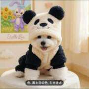 ヒメ日記 2026/01/30 04:00 投稿 なごみ AVANCE福岡