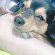 ヒメ日記 2026/01/30 14:30 投稿 なごみ AVANCE福岡