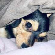 ヒメ日記 2026/02/02 03:00 投稿 なごみ AVANCE福岡