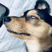 ヒメ日記 2026/02/05 02:31 投稿 なごみ AVANCE福岡