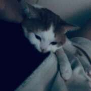 ヒメ日記 2026/02/05 13:01 投稿 なごみ AVANCE福岡