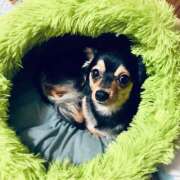 ヒメ日記 2026/02/06 03:45 投稿 なごみ AVANCE福岡