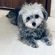 ヒメ日記 2026/02/11 09:15 投稿 なごみ AVANCE福岡