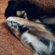 ヒメ日記 2026/02/26 15:46 投稿 なごみ AVANCE福岡