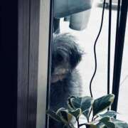 ヒメ日記 2026/02/27 12:45 投稿 なごみ AVANCE福岡