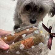 なごみ ばーすで、、。 AVANCE福岡