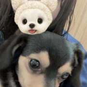 なごみ 更新してなく、、。 AVANCE福岡