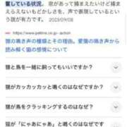 ヒメ日記 2024/12/20 08:51 投稿 羽田野いろは 性感回春アロマSPA金沢店