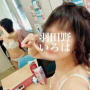 ヒメ日記 2025/02/17 13:33 投稿 羽田野いろは 性感回春アロマSPA金沢店