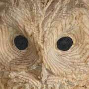 ヒメ日記 2025/02/18 13:48 投稿 羽田野いろは 性感回春アロマSPA金沢店