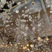 ヒメ日記 2025/03/11 16:12 投稿 羽田野いろは 性感回春アロマSPA金沢店