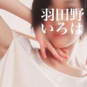 ヒメ日記 2025/03/19 16:03 投稿 羽田野いろは 性感回春アロマSPA金沢店